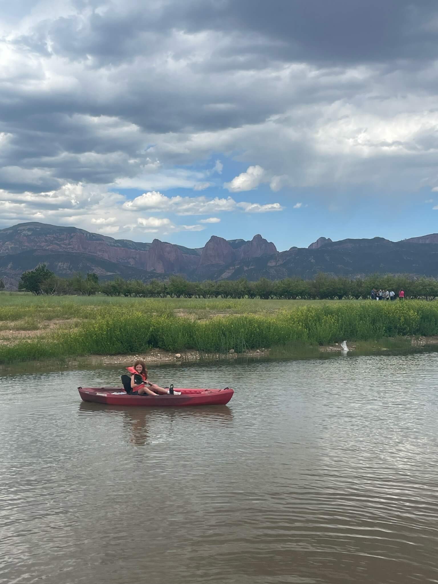 activities in the meadow